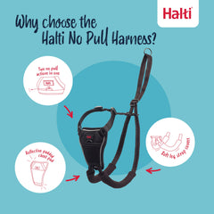 Halti No Pull Harness panel reflector: mayor visibilidad en poca luz