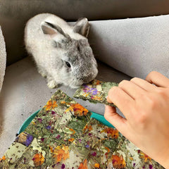 Hamiledyi juguetes masticables para dientes, promueven crujido suave y curiosidad.