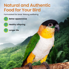 Granos y legumbres orgánicos de Harrison's Bird Foods para nutrición.