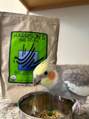 Harrison's Bird Foods Mezcla de granos orgánicos para aves, nutrición natural.