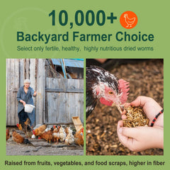 Larvas secas a baja temperatura mantienen nutrientes y crujido