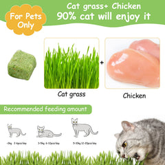 HavenJanny hierba natural para gato con pollo, sabor suave.