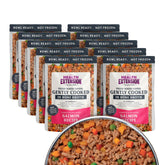 Health Extension salmon-fresco-para-perro, listo para servir en casa.