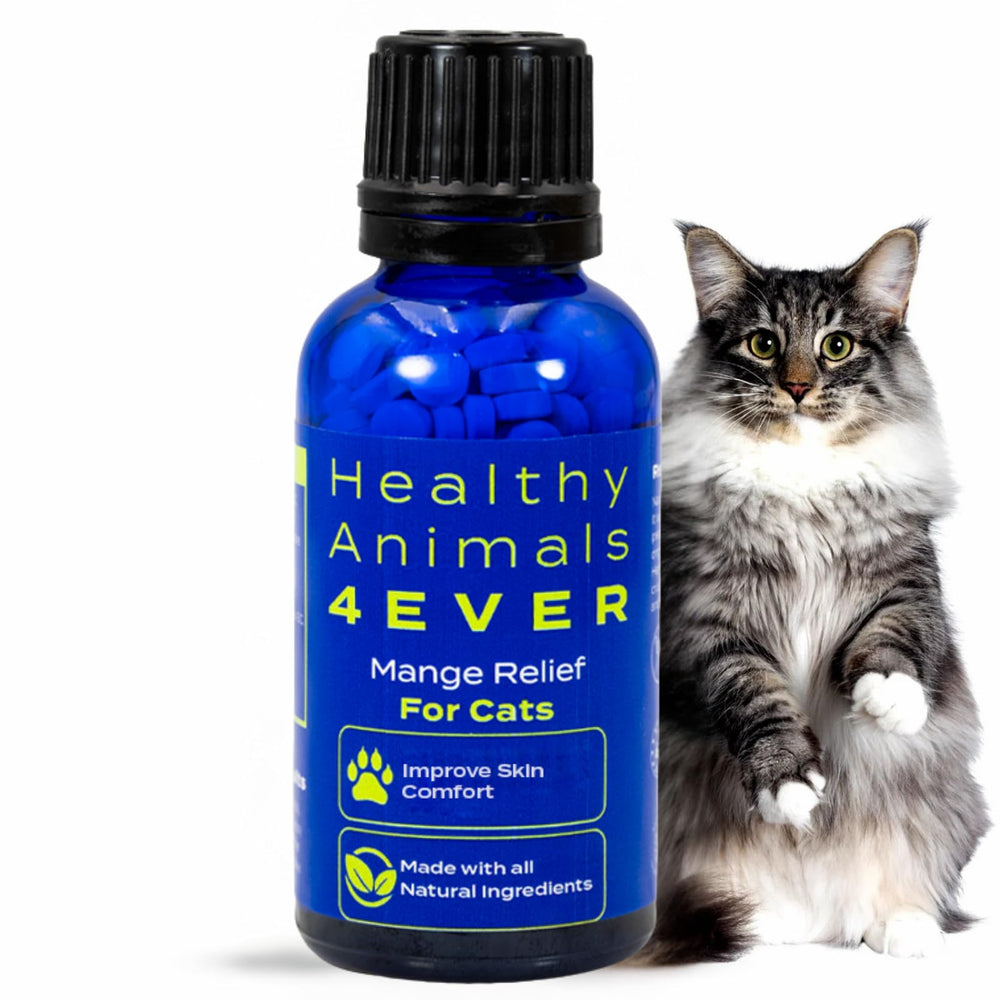HealthyAnimals4Ever HA4E envase-frente para alivio natural del picor en gatos.
