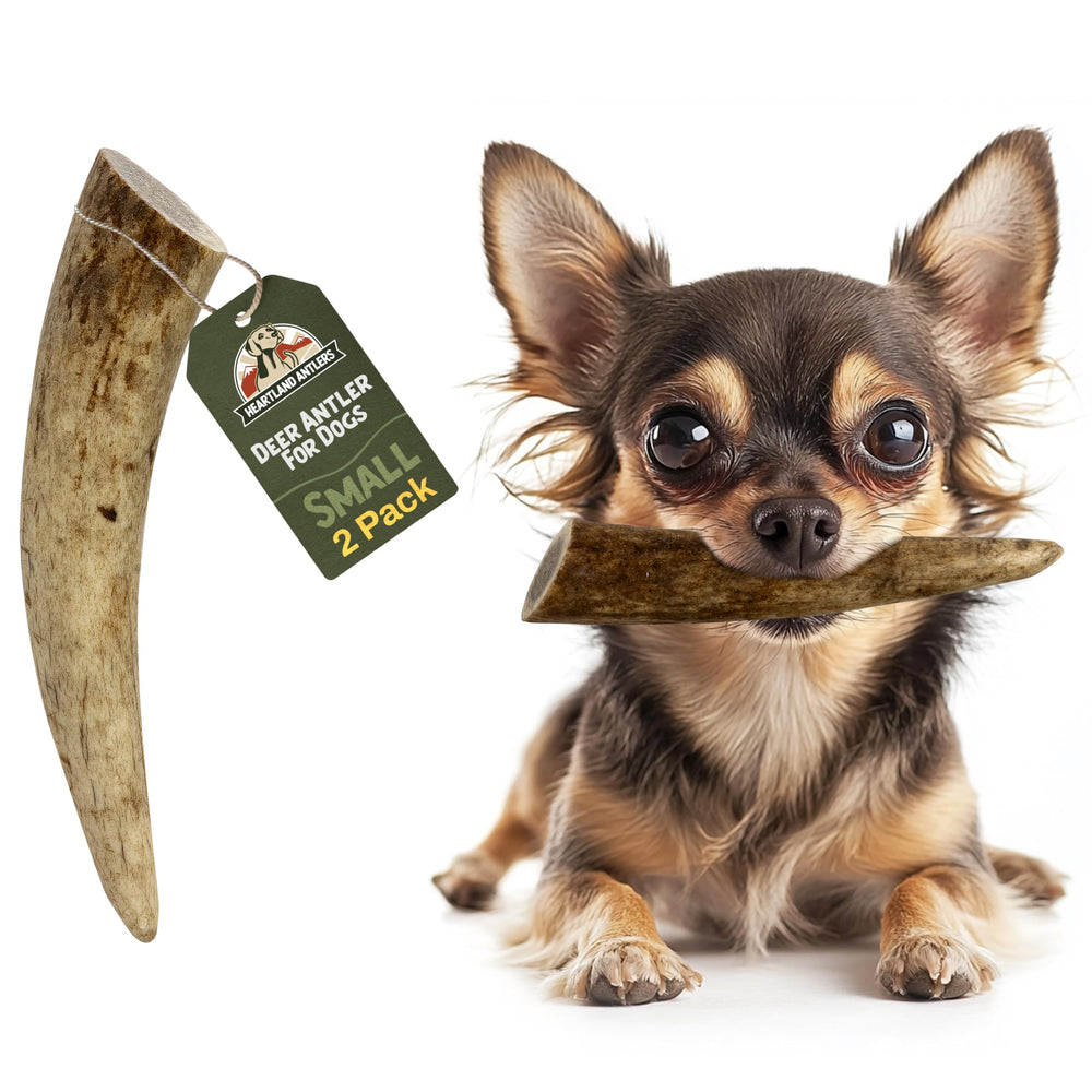 Heartland Antlers: masticables para perro duros y duraderos para mordedores activos.