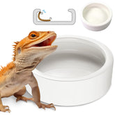 HELIME tazon ceramico para reptiles frente facilita ver y atrapar gusanos