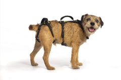 Help 'Em Up arnés de elevación para perro, enfoque en subir escaleras, soporte estable.