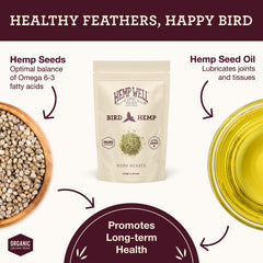 Hemp Well: aves comiendo corazones de cáñamo para nutrición suave.