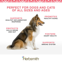 Envase transparente muestra krill antártico 100% para perros.