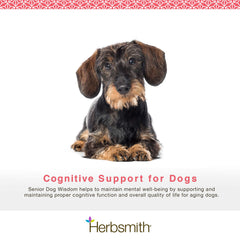 Herbsmith Senior Dog Wisdom: porción diaria para perros mayores, apoyo a la claridad mental
