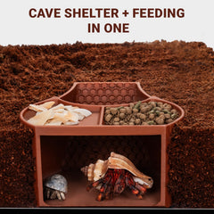 HERPDEN habitat-rampa-texturizada mejora agarre al trepar.