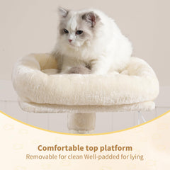 Heybly cat-tree base estable: garantiza seguridad y estabilidad para trepar.