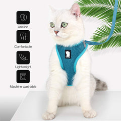 Correa HEYWEAN para gato con control de movimiento de 360 grados.