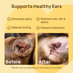 HICC PET aceite de coco fermentado aporta aroma suave durante la limpieza.