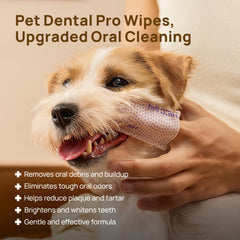 HICC PET Pro: empaque de toallitas dentales para uso diario sin enjuague.