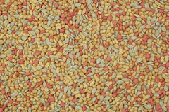Envase Higgins Intune 2 lb, formas únicas para aves pequeñas.