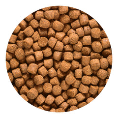 hikari gránulos dorados con astaxantina alta, realce de color