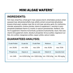 Hikari Mini Algae Wafers en acción; peces consumen obleas lentamente.