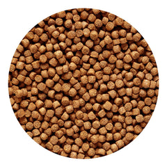 Realce la coloración natural de cíclidos con pellets dorados Hikari