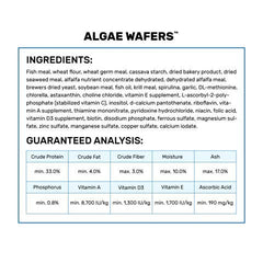 Hikari tabletas de algas, enfoque en textura estable que alimenta sin descomponerse