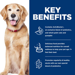 Perro adulto comiendo Hill's Science Diet Adult 7+