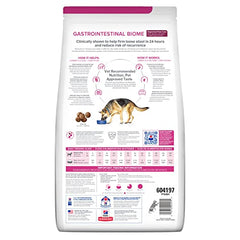 Kibble crujiente de Hill's Gastrointestinal Biome para apoyar la digestión.