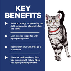 Hill's Science Diet: energía equilibrada para gatos activos