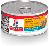 Hill's Science Diet Indoor con pollo molido en lata, ideal para gatos de interiores.