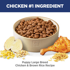 Hill's Science Diet con pollo y arroz integral, sabor nutritivo para cachorros grandes
