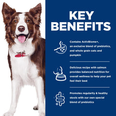 Hill's Science Diet Perro adulto disfrutando comida sana.