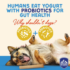 Ingredientes naturales coco y yogur de Himalayan Dog Chew, snack digerible para perros.