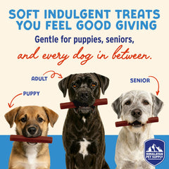 Himalayan Dog Chew Stick Textura Suave: ideal para cachorros y seniors.