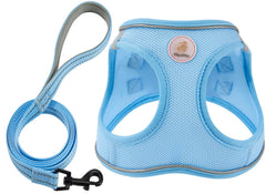 Hipubby arnés y correa, ajuste perfecto para paseos cómodos.