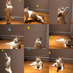 Hi Purr bola de fieltro verde para perseguir y ejercitarse.