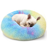 Hoewina cama donut arcoiris frente, refugio suave para descanso diario.