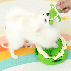 Conjunto de tortugas verdes Hollypet para entretenimiento diario.