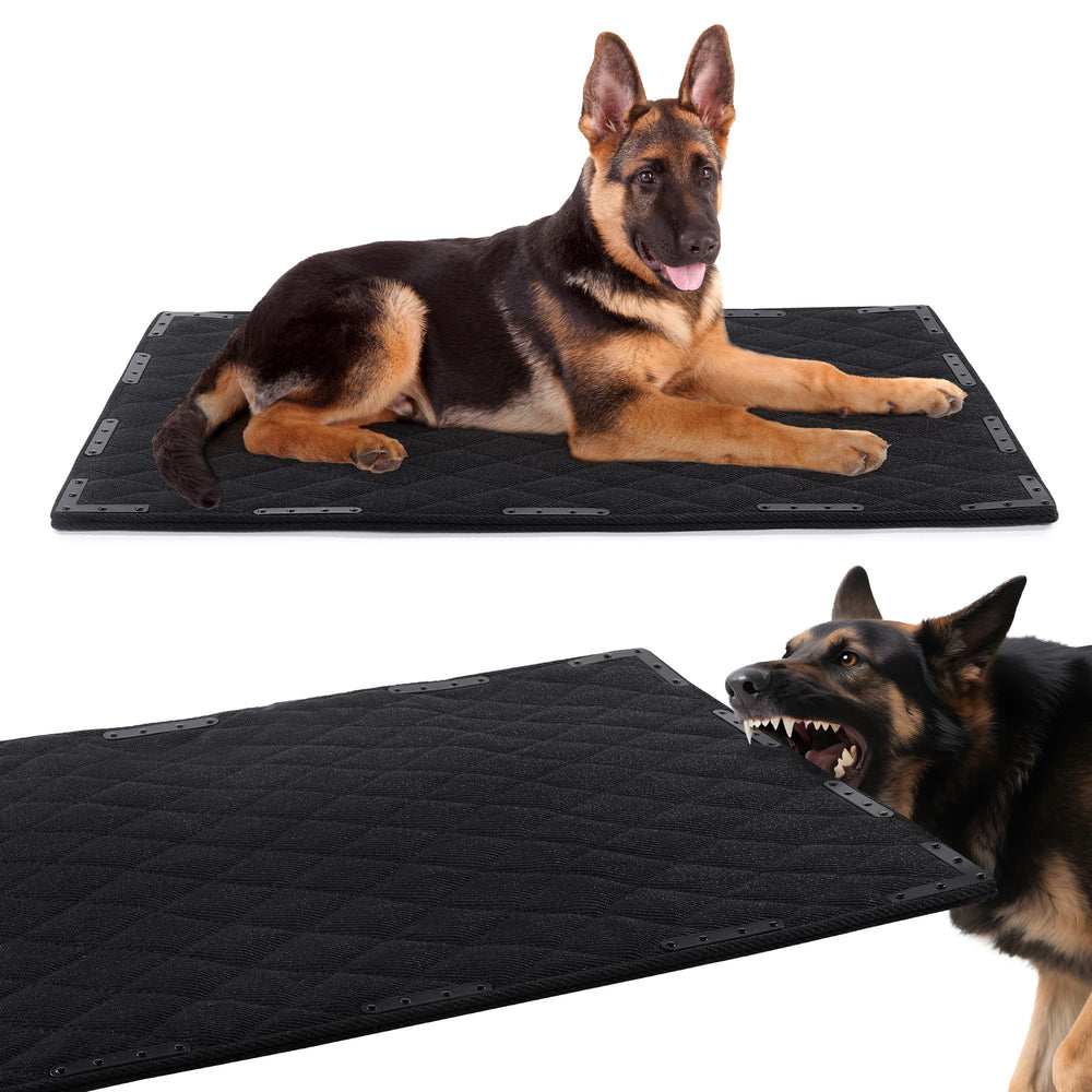Cama para perro HOMBYS con remaches de metal, durabilidad para mordedores.