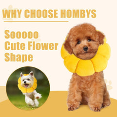 Hombys cono ajustable postoperatorio, ajuste rápido y cómodo.