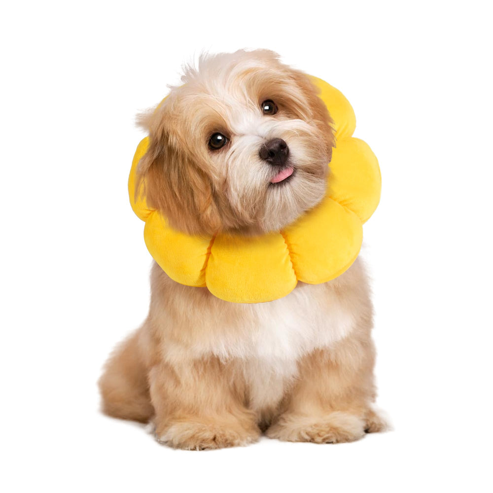 Hombys cono suave con flor rosa para la comodidad del perro.