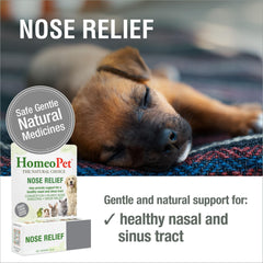 Aplicación directa en boca de HomeoPet Nose Relief para dosis precisas