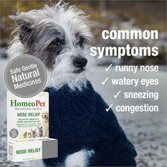 Dosis en agua con HomeoPet Nose Relief para administración fácil
