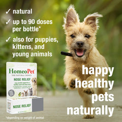 Dosis en comida con HomeoPet Nose Relief para conveniencia diaria