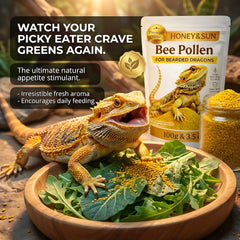 Polen de abeja espolvoreado sobre hojas verdes para reptiles.
