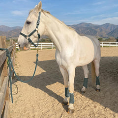 Horntack botas-splint caballo diseño-contorneado se adapta a la pierna del caballo