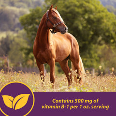 Horse Health Vita B-1 Crumbles etiqueta, dosis clara para una dosificación precisa.