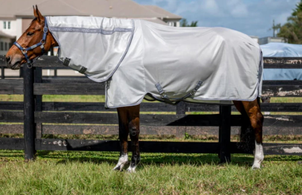 Protección Amigo Integrado contra insectos y UV para caballos en el corral
