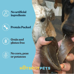 Hotspot Pets cascos de vaca para perro, listos para usar y limpiar.
