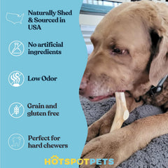 Hotspot Pets masticación de larga duración para perros grandes