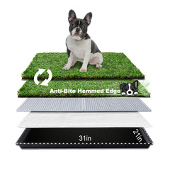 HQ4US 4LEGS: pasto artificial con borde cosido para limpieza rápida