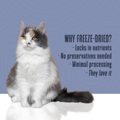Human-grade cat food topper elevating meals with tuna goodness.